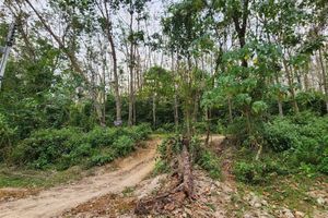 3.5 rai plot of land in Cherng Talai area, Phuket