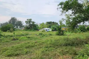 участка в Чернг Талай