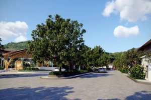 2 Bedroom villa with private pool near Nai Yang Beach, Phuket at Phuvista 3 Naiyang Complex