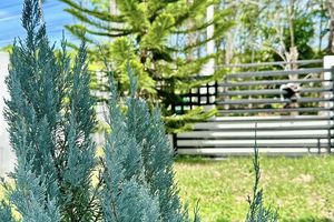 Ready-made 4 bedroom house with swimming pool in Talang area, Phuket at a bargain price