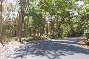 Land plot of 6.45 rai at Nai Harn beach, Phuket