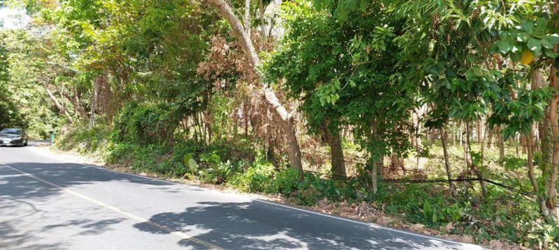 Land plot of 6.45 rai at Nai Harn beach, Phuket