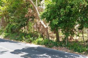 Land plot of 6.45 rai at Nai Harn beach, Phuket