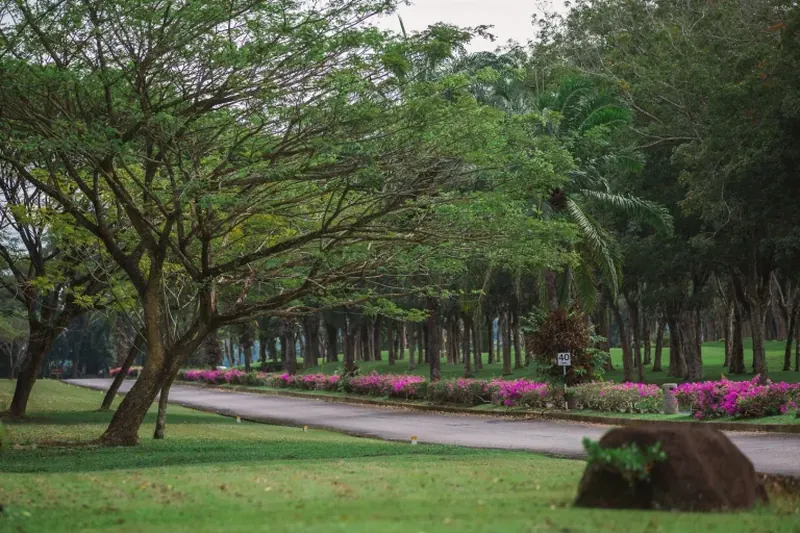 คอนโดมิเนียม ในสาคู