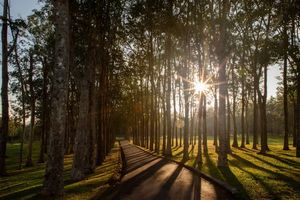 Luxury Duplex 2 Bedroom apartment in a gated community with Golf courses in Blue Canyon Heights