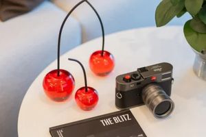 Spacious 1 Bedroom apartment near Bang Tao Beach, Phuket at The Modeva Complex