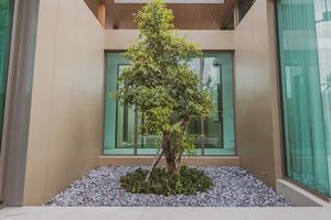 4 Bedroom Villa with Pool in Talang area, Phuket in Mount Mono